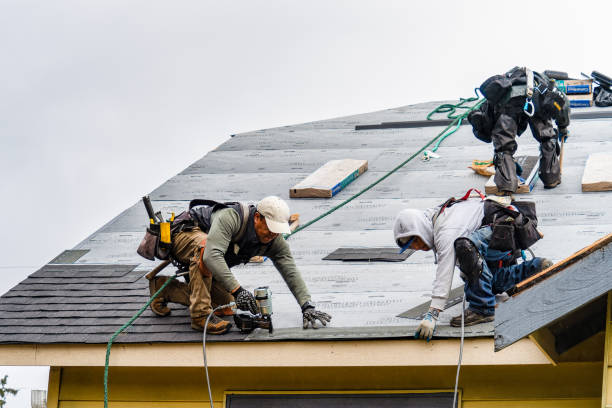 Professional Metal Roofing technician working in Cambria, IL